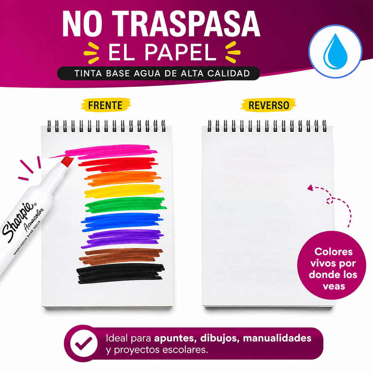 Sharpie Acuacolor 12 Colores  Base Agua